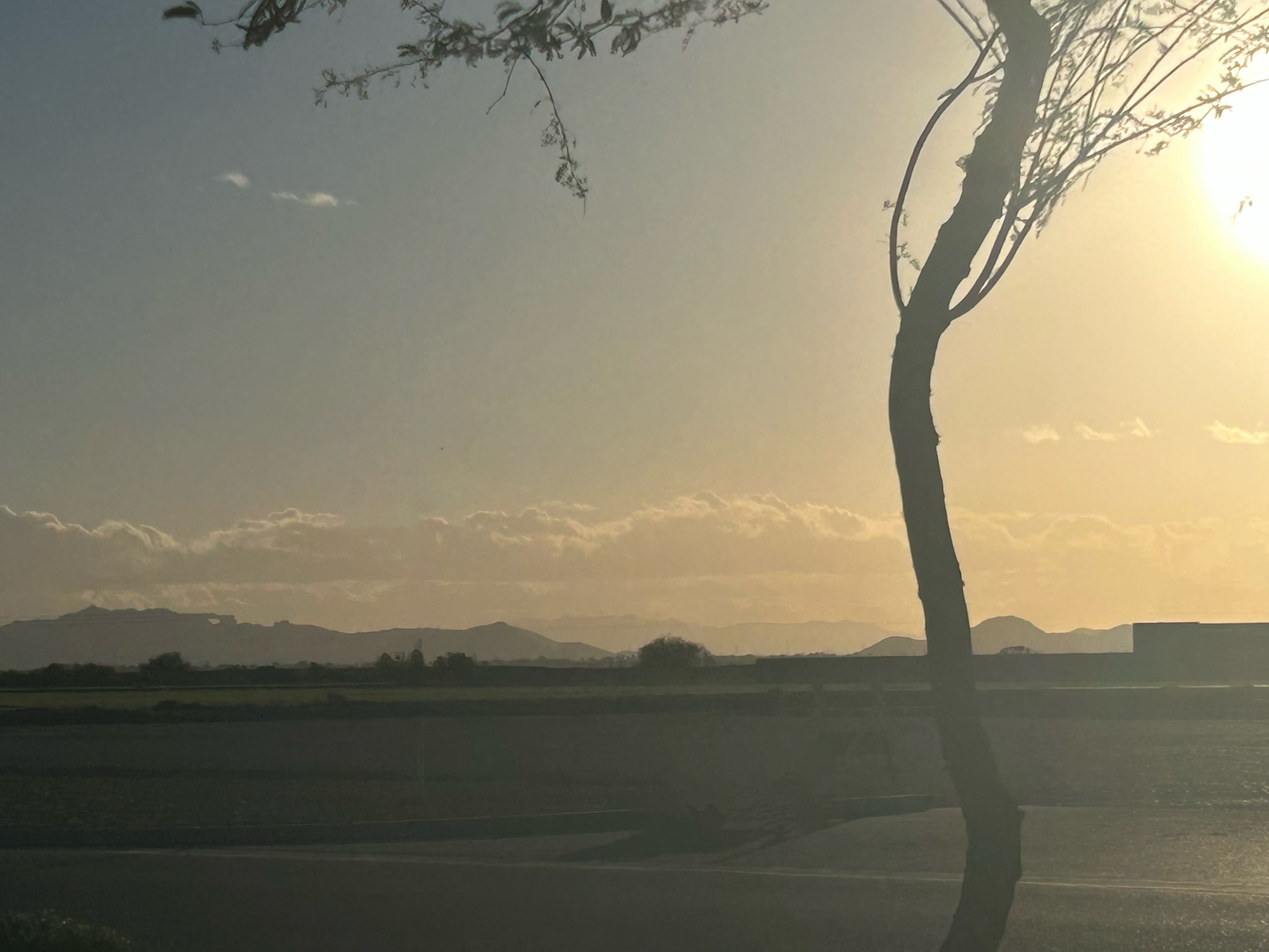 Photo of Arizona landscape