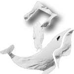 setsalelightlogo SetSale logo white