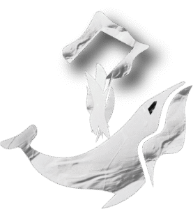 setsalelightlogo SetSale logo white