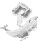 SetSale logo white